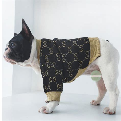 gucci french bulldog clothes